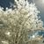 Dhivya Prakash's profile image