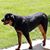 Todd Durnan's profile image