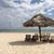 Linda Fernandez Armstrong's profile image