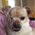 Lisa Pugh's profile image