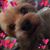 Amanda Embry's profile image