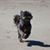 Shelley Sump's profile image