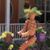 Sharon Eberman's profile image