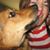 Michele Buckles's profile image