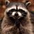 Jason Richmond's profile image