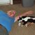 Harry J Gesner's profile image