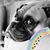 Christine Mullin Waters's profile image