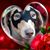 Diane Applebaum's profile image