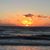 Marcia Bowles's profile image