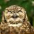Marge Justus's profile image