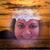 Kaete Huntoon's profile image