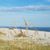Nancy Brislin's profile image