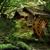 Martha Koslouski Bodek's profile image