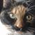 Kristen Shaw's profile image