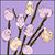 Rene Versic's profile image