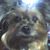 Wanda Burnett's profile image
