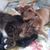 Deloris Zepeda's profile image