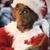 Bob Wright's profile image