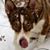George Westfall's profile image