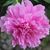 Mary Moss's profile image