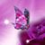 Asmaa Loveless's profile image