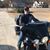 Keith Wilks's profile image