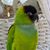 Anna Mitru's profile image