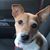 Pamela Riley Kolscher's profile image