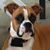 Lou VanWie's profile image