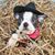 Gail M Stanton-Geib's profile image