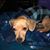 Eunice Manning's profile image