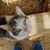 Carla Robinson Goranson's profile image