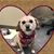 Patricia Ann Berry's profile image