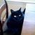 Patricia Doyle's profile image