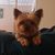 Candice Rogers's profile image