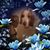 Cheryl Moschetti's profile image