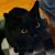 Barbara Forde's profile image