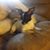 Jeannie Scott's profile image