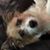 Kathy Ludwig Gulmantovicz's profile image