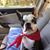 Janet P. Dozier's profile image