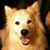 Shirley Rogers's profile image