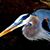 Richard Simpson's profile image