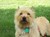 Vonnie H.'s profile image