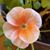 Beth Damp's profile image