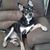 Mickey Kanoy's profile image