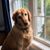 Deirdre Tavares's profile image