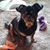 Pamela Guyton's profile image