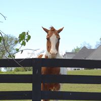 Ty Bittner's profile image