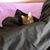 Vicki Laughlin's profile image