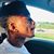 Dajaun Wadley's profile image
